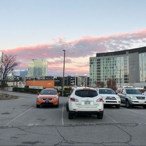 Meet your Posher, Riley